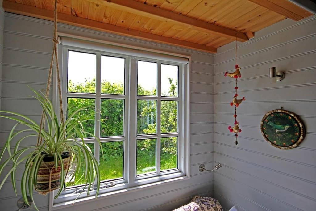 布德Tiny House On Isolated Farm By The Cornish Coast别墅 外观 照片